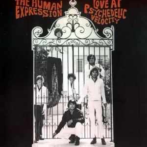 Love at psychedelic velocity